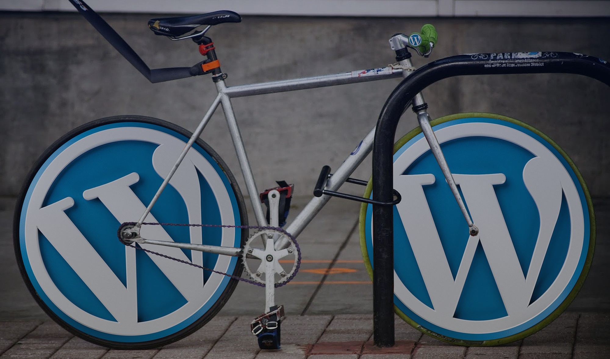 wordpress_3 ecommerce website development